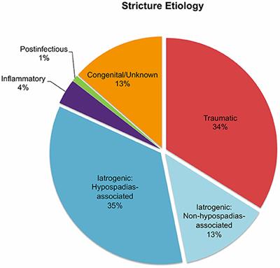 Anterior Urethral Strictures in Children: Disease Etiology and Comparative Effectiveness of Endoscopic Treatment vs. Open Surgical Reconstruction